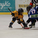 PA050185.jpg