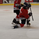 PA050311.jpg
