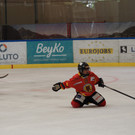 PA050351.jpg
