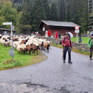 Schafscheide7.jpg