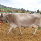 IMG_7800_jiw.jpg