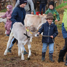 IMG_7805_jiw.jpg