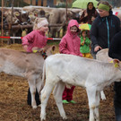 IMG_7808_jiw.jpg