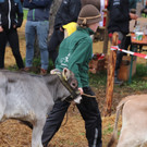 IMG_7813_jiw.jpg