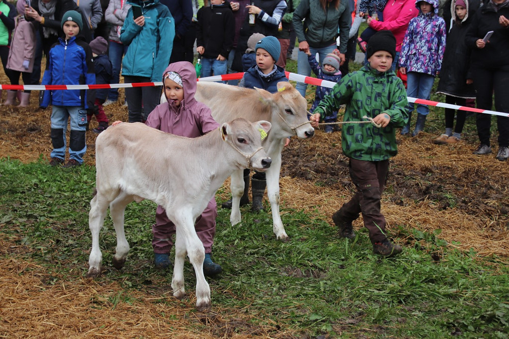 IMG_7816_jiw.jpg