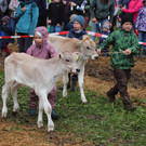 IMG_7816_jiw.jpg