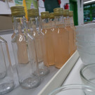 DSC05010.JPG