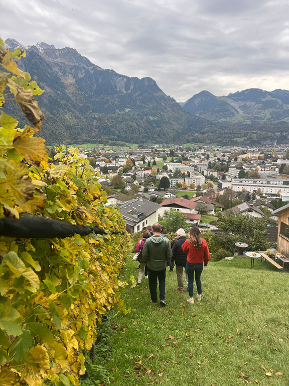 Weinwanderung zum Familienweingarten Tschann n.jpg