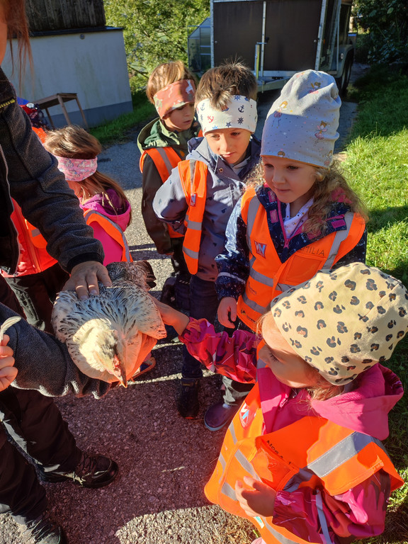 Bauernhof Bigili _4_.jpg