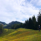 IMG_7375.JPG