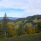 IMG_7376.JPG