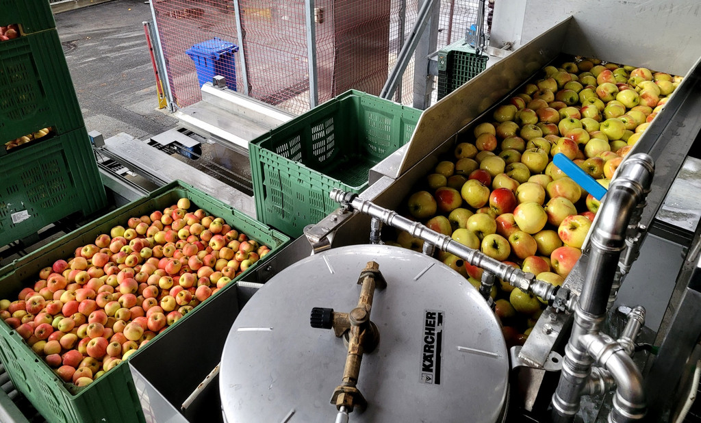 Prinz OBSTHOF F__hrung mit Kindergarten Dorf 10-10-2024 _14_.jpg