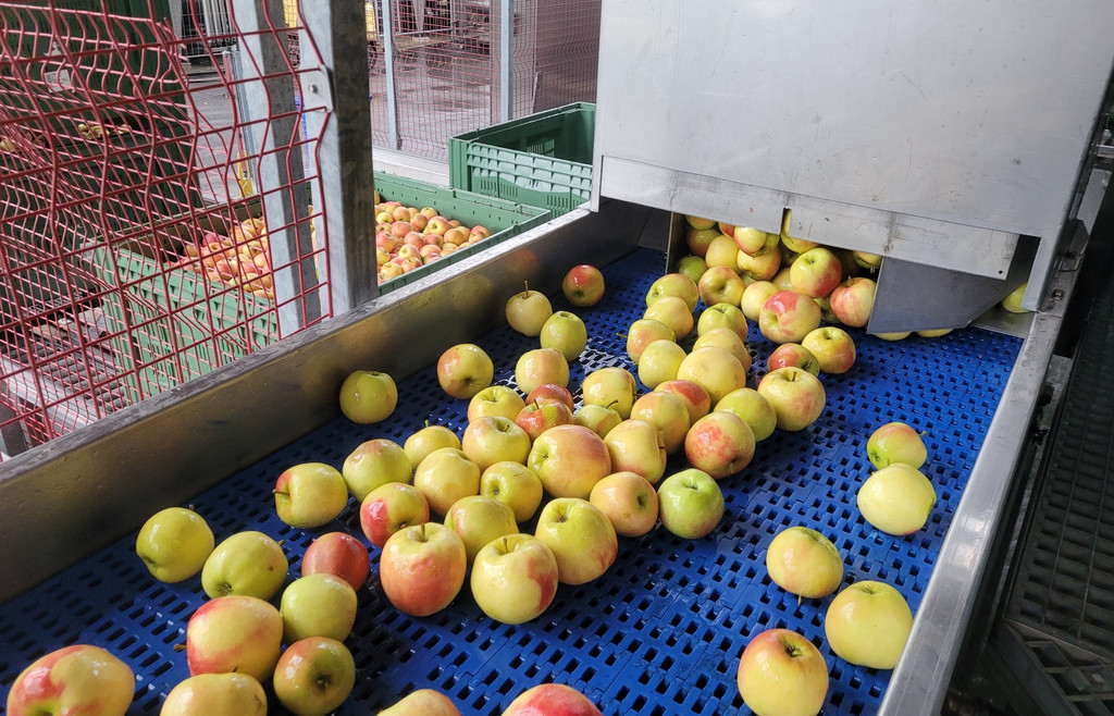 Prinz OBSTHOF F__hrung mit Kindergarten Dorf 10-10-2024 _15_.jpg