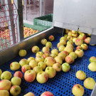 Prinz OBSTHOF F__hrung mit Kindergarten Dorf 10-10-2024 _15_.jpg