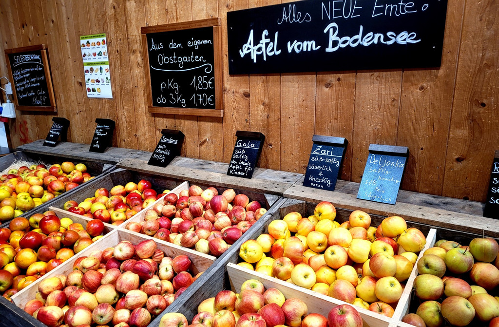 Prinz OBSTHOF F__hrung mit Kindergarten Dorf 10-10-2024 _21_.jpg