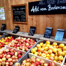 Prinz OBSTHOF F__hrung mit Kindergarten Dorf 10-10-2024 _21_.jpg