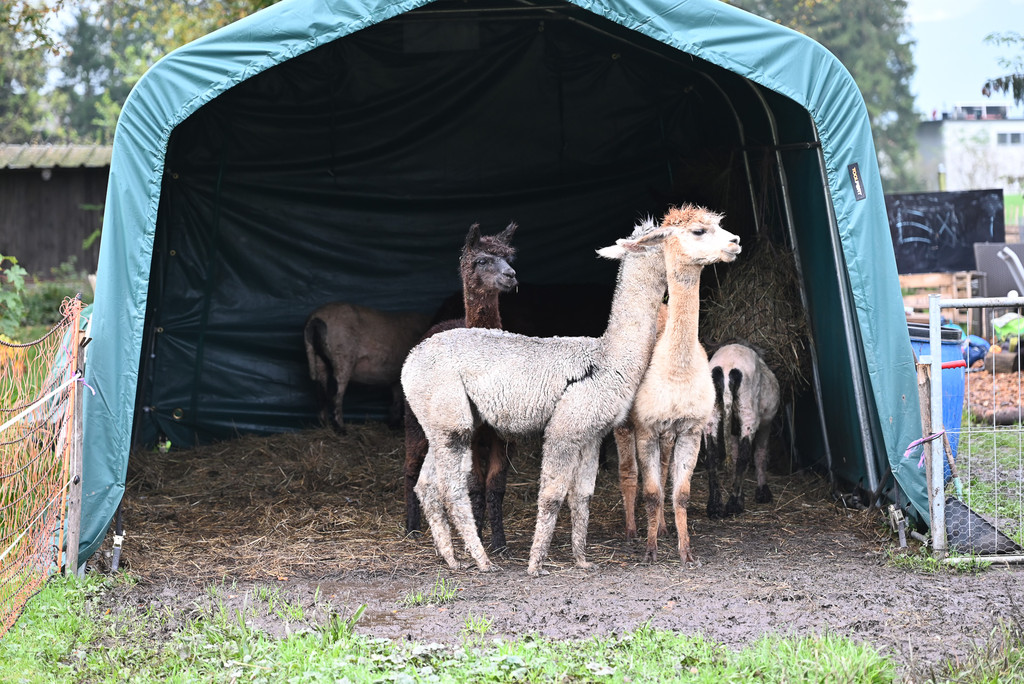 DSC_8093.jpg