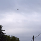 DSC_0009.JPG