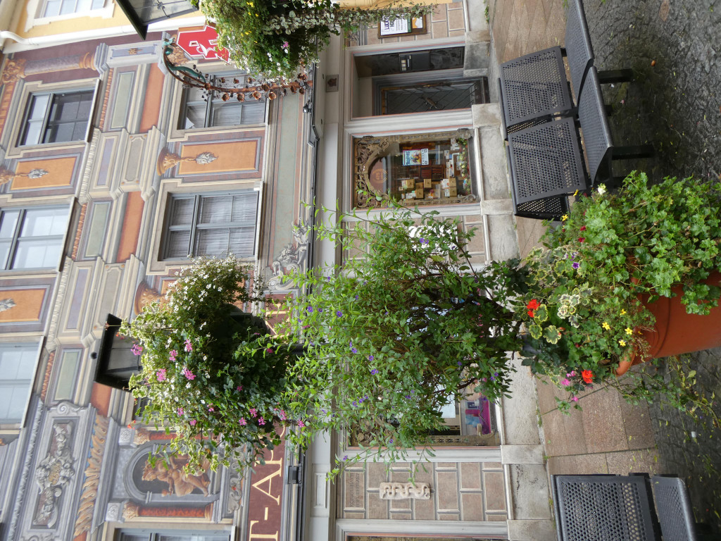 P1068235.JPG