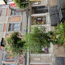 P1068235.JPG