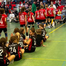ssv10v3.jpg