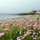 Insel Fetlar_ Heimat von Brydon.jpg
