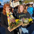K__rbislauf Schwarzach 3.jpg