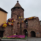 Herbstausflug in die Chrysanthemenstadt Lahr