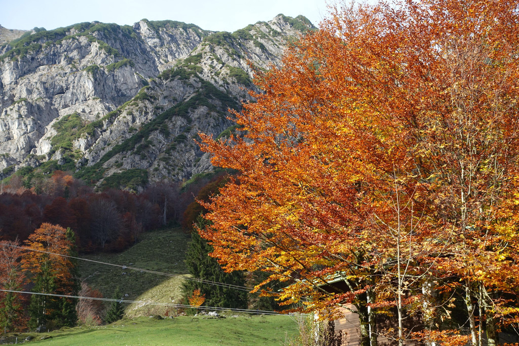 Kneipp-Ausflug Griesner Alm und Pillersee 15_-16_10_2024  _40_.JPG