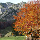 Kneipp-Ausflug Griesner Alm und Pillersee 15_-16_10_2024  _40_.JPG