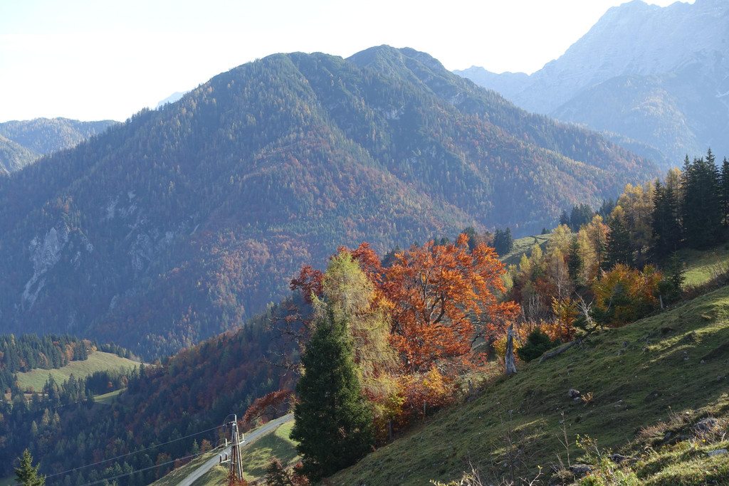 Kneipp-Ausflug Griesner Alm und Pillersee 15_-16_10_2024  _148_.JPG