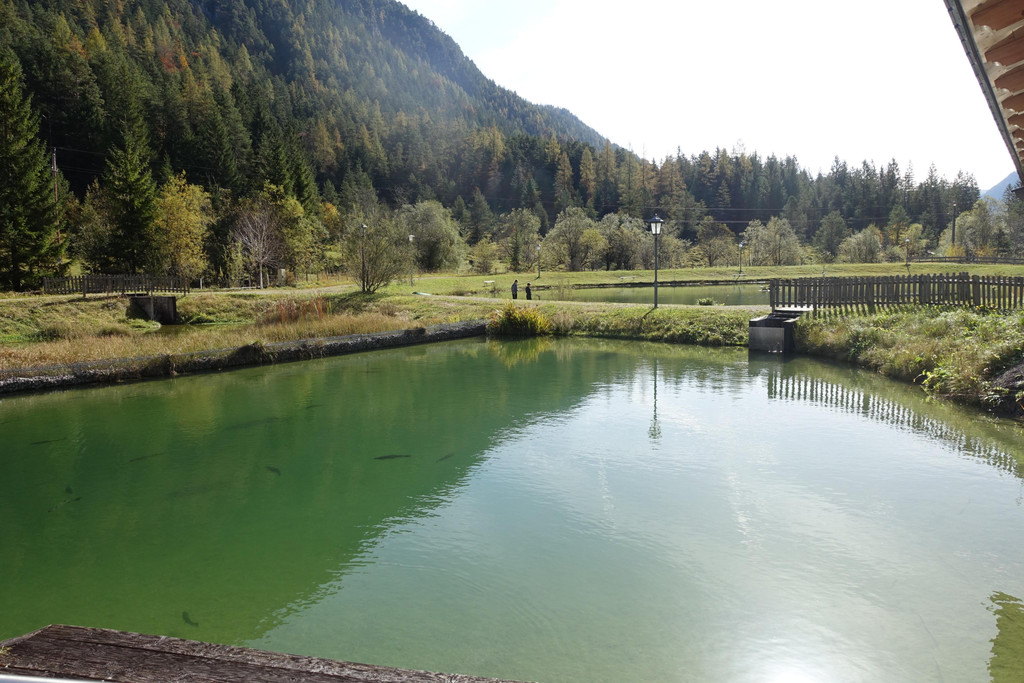 Kneipp-Ausflug Griesner Alm und Pillersee 15_-16_10_2024  _204_.JPG