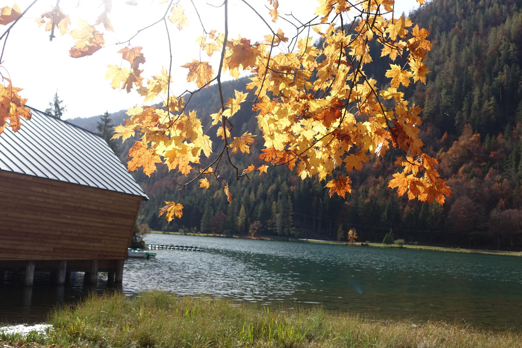 Kneipp-Ausflug Griesner Alm und Pillersee 15_-16_10_2024  _229_.JPG