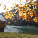 Kneipp-Ausflug Griesner Alm und Pillersee 15_-16_10_2024  _229_.JPG