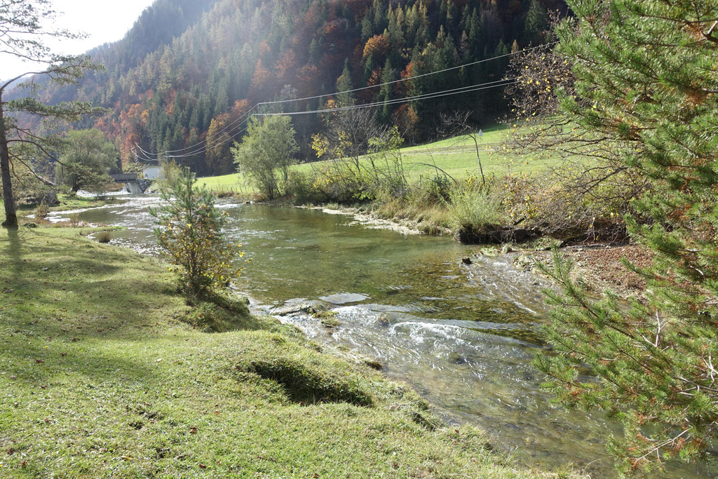 Kneipp-Ausflug Griesner Alm und Pillersee 15_-16_10_2024  _236_.JPG