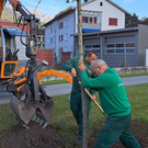 Wertvoller Schatten für die Kleinsten 
