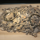 2024-10-25 17 NF Vitrine.JPG