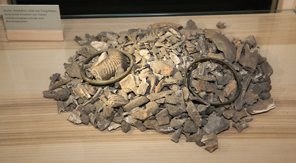 2024-10-25 17 NF Vitrine.JPG