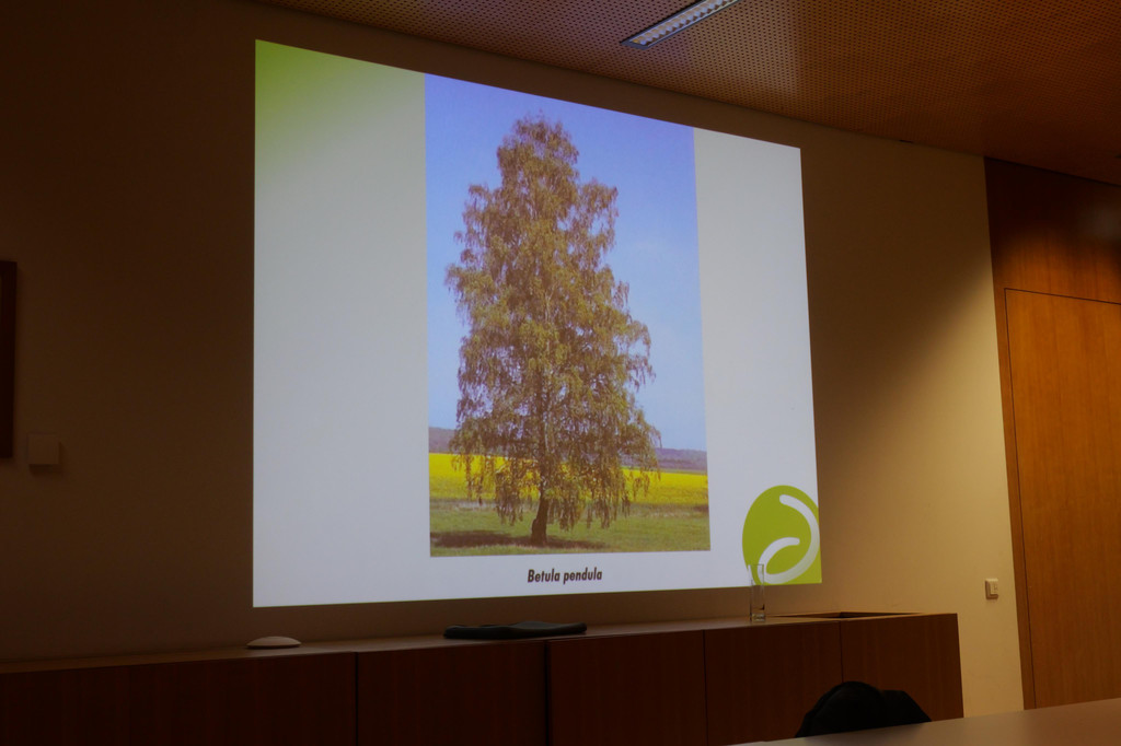 P1013309.JPG