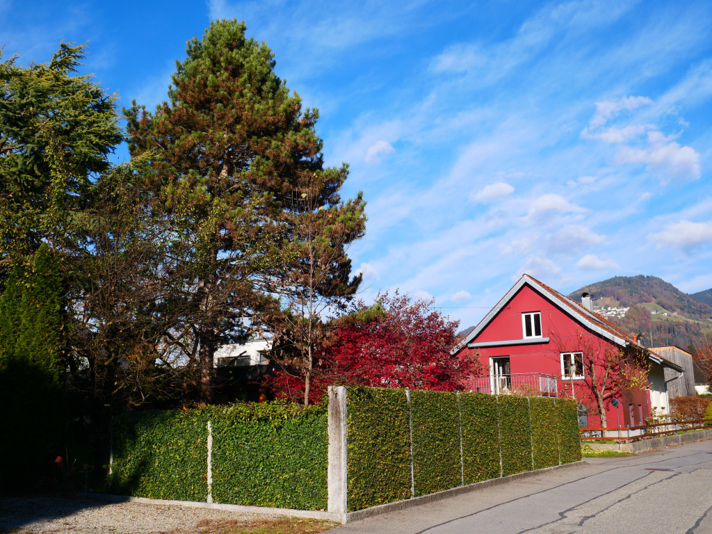 Herbst 171124_2.JPG
