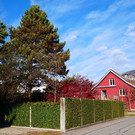 Herbst 171124_2.JPG