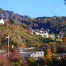 Herbst 171124_3.JPG
