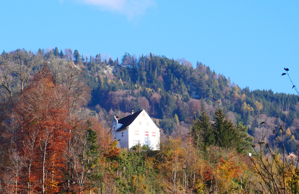 Herbst 171124_4.JPG