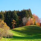 Herbst 171124_10.JPG