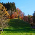 Herbst 171124_11.JPG