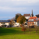 Herbst 171124_13.JPG