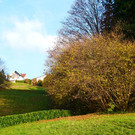 Herbst 171124_16.JPG