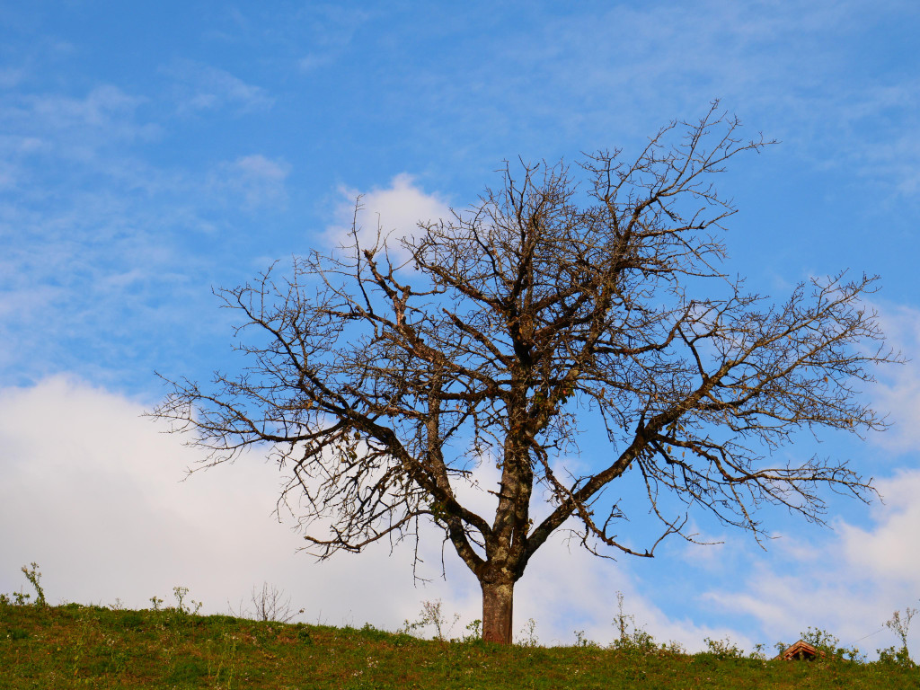 Herbst 171124_17.JPG