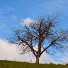 Herbst 171124_17.JPG