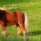 Herbst 171124_18.JPG